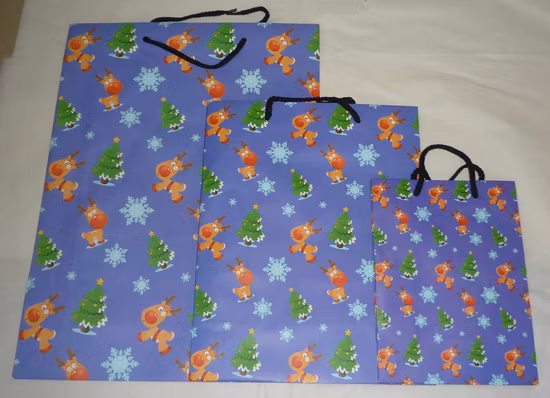 2022 sacchetti regalo di carta di Natale di nuova concezione