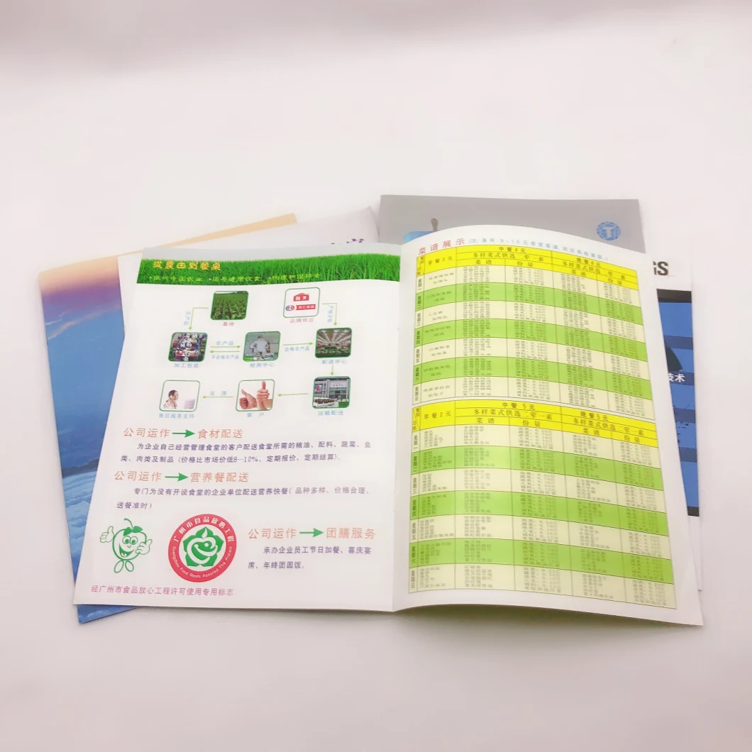 Cheap Tri-Fold Pamphlet Booklet Printing Brochure Guangzhou Printer