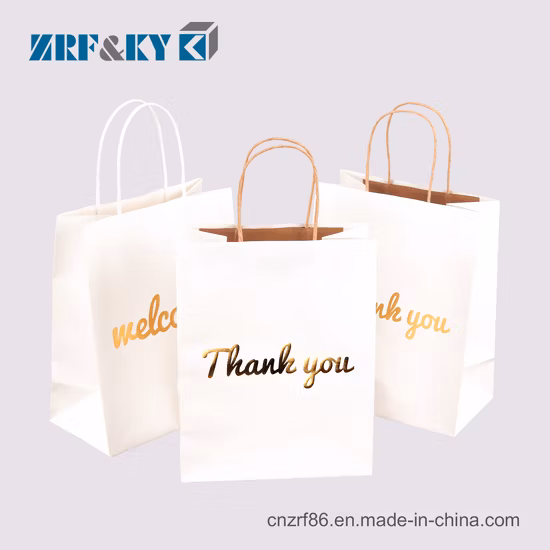 Recycled Ladies Carrier White/Brown/Black/Green/Art/Kraft/Coated Paper Bag Shopping Bag for Clothes/Apparel/Gift